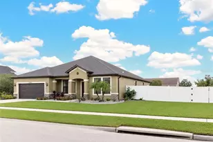 3003 Via Milano St, Plant City, FL 33566 - Photo 3