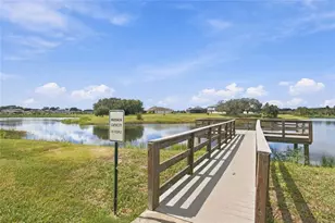 13856 Crest Lake Dr, Hudson, FL 34669 - Photo 57