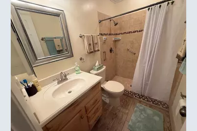 4031 Bluff Oak Court, Palm Harbor, FL 34684 - Photo 31