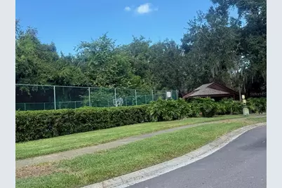 4031 Bluff Oak Court, Palm Harbor, FL 34684 - Photo 43