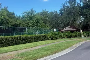 4031 Bluff Oak Ct, Palm Harbor, FL 34684 - Photo 43