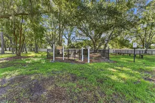 9234 Stone River Pl, Riverview, FL 33578 - Photo 55