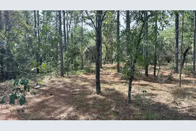 Bowman Road, Spring Hill, FL 34610 - Photo 5