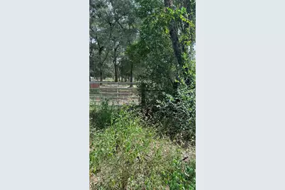 Bowman Road, Spring Hill, FL 34610 - Photo 7