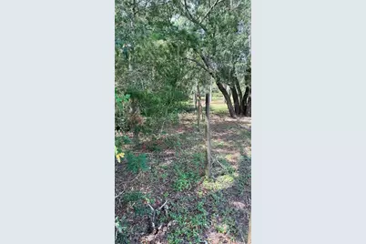 Bowman Road, Spring Hill, FL 34610 - Photo 3