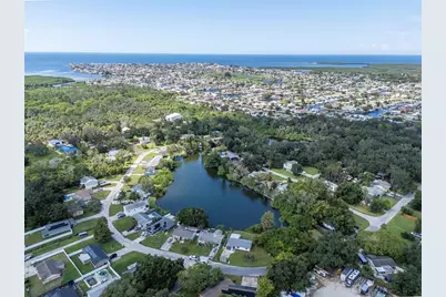 4539 Needle Palm Drive, New Port Richey, FL 34652 - Photo 33