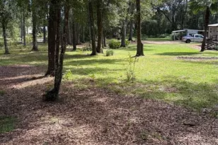 6401 Sunnyside Ranch Rd, Brooksville, FL 34602 - Photo 11