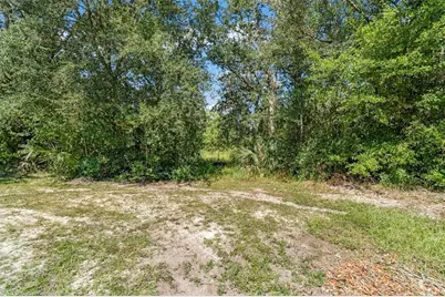 5031 S Louise Point, Homosassa, FL 34446 - Photo 13