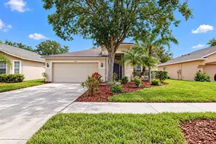 2348 Roanoke Springs Dr, Ruskin, FL 33570 - Photo 41