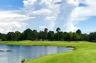 12910 Jessup Watch Pl, Riverview, FL 33579 - Photo 37