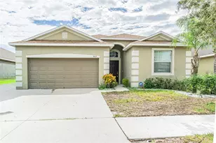 907 Peregrine Hill Pl, Ruskin, FL 33570 - Photo 1
