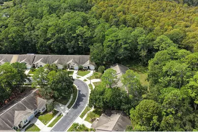 3490 Tealwood Circle, Palm Harbor, FL 34685 - Photo 31