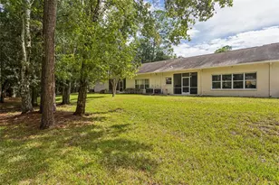 3490 Tealwood Cir, Palm Harbor, FL 34685 - Photo 23