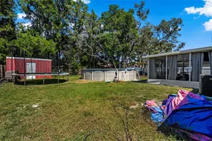 8295 Begonia St, Spring Hill, FL 34608 - Photo 59