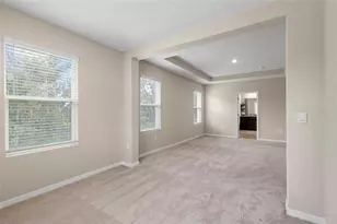 13071 Brookside Moss Dr, Riverview, FL 33579 - Photo 39