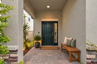 2952 Marine Grass Dr, Wimauma, FL 33598 - Photo 3