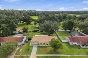 8410 Angela Ct, Zephyrhills, FL 33541 - Photo 55