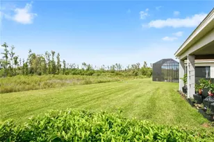 32604 Tree of Life Ave, Wesley Chapel, FL 33543 - Photo 47