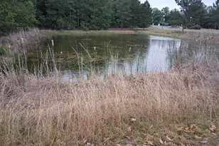 203 SW Silverpalm Dr, Lake City, FL 32024 - Photo 91
