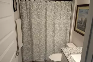 203 SW Silverpalm Dr, Lake City, FL 32024 - Photo 65