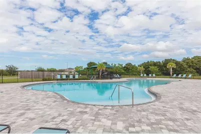 11933 Downy Birch Drive, Riverview, FL 33569 - Photo 43