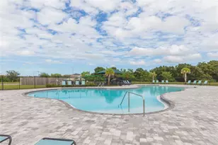 11933 Downy Birch Dr, Riverview, FL 33569 - Photo 43