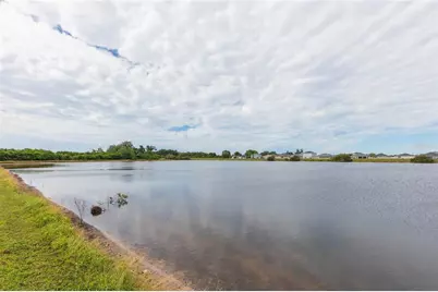 11933 Downy Birch Drive, Riverview, FL 33569 - Photo 5
