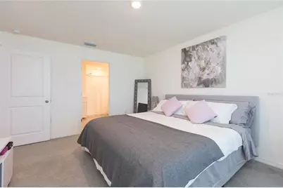 11933 Downy Birch Drive, Riverview, FL 33569 - Photo 21
