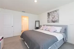 11933 Downy Birch Dr, Riverview, FL 33569 - Photo 21