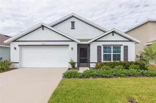 11933 Downy Birch Dr, Riverview, FL 33569 - Photo 1