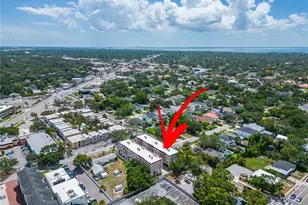 3421 W Horatio St, Tampa, FL 33609 - Photo 83