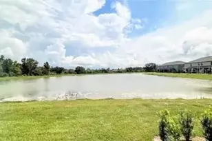 9758 Campanula Ct, Land O Lakes, FL 34637 - Photo 9