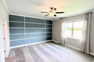 9758 Campanula Ct, Land O Lakes, FL 34637 - Photo 3