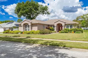 1555 Sunray Dr, Palm Harbor, FL 34683 - Photo 1