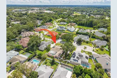 1555 Sunray Drive, Palm Harbor, FL 34683 - Photo 43