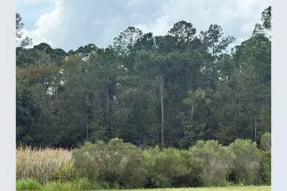 10855 W Homosassa Trail, Homosassa, FL 34448 - Photo 1