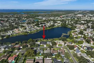 6706 Ranger Dr, Tampa, FL 33615 - Photo 71