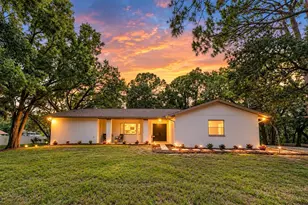 950 Waverly St, Oldsmar, FL 34677 - Photo 1