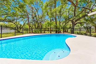 950 Waverly St, Oldsmar, FL 34677 - Photo 29