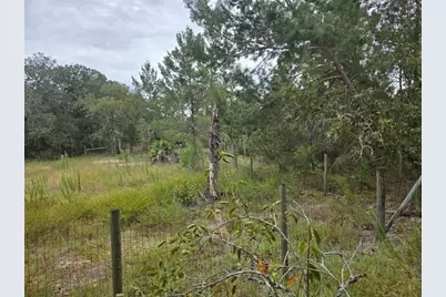 6535 N Ewok Point, Dunnellon, FL 34433 - Photo 15