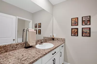 32265 Conchshell Sail Street, Wesley Chapel, FL 33545 - Photo 33