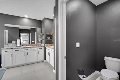 32265 Conchshell Sail Street, Wesley Chapel, FL 33545 - Photo 39