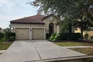 20311 Chestnut Grove Dr, Tampa, FL 33647 - Photo 1