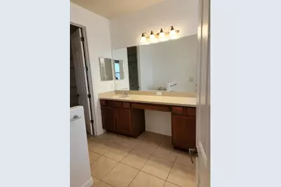 20311 Chestnut Grove Drive, Tampa, FL 33647 - Photo 23