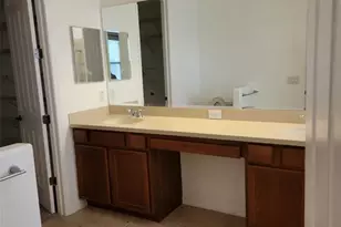20311 Chestnut Grove Dr, Tampa, FL 33647 - Photo 23