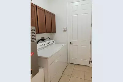 20311 Chestnut Grove Drive, Tampa, FL 33647 - Photo 17