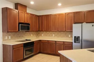 20311 Chestnut Grove Dr, Tampa, FL 33647 - Photo 7