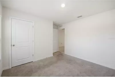 11805 Downy Birch Drive, Riverview, FL 33569 - Photo 5