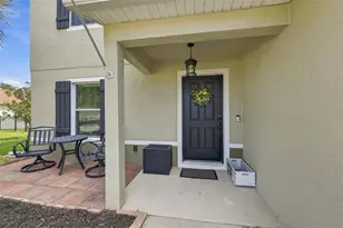 5213 Butterfly Shell Dr, Apollo Beach, FL 33572 - Photo 41
