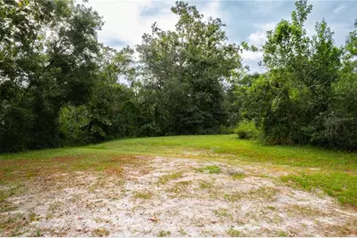 3141 N McMullen Booth Road, Clearwater, FL 33761 - Photo 11